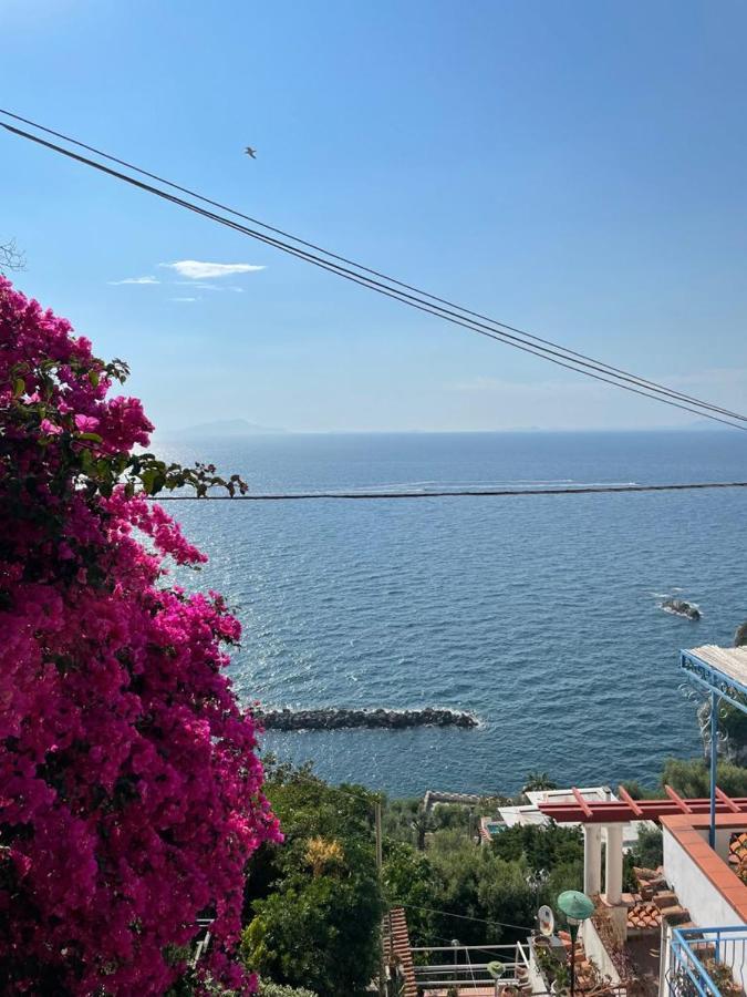 La Rosa Dei Venti Villa Massa Lubrense Exteriör bild