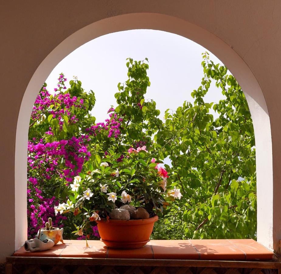 La Rosa Dei Venti Villa Massa Lubrense Exteriör bild