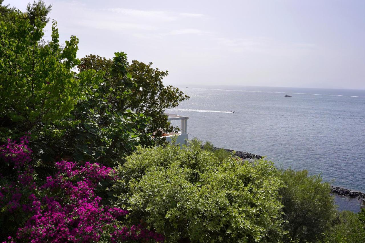 La Rosa Dei Venti Villa Massa Lubrense Exteriör bild