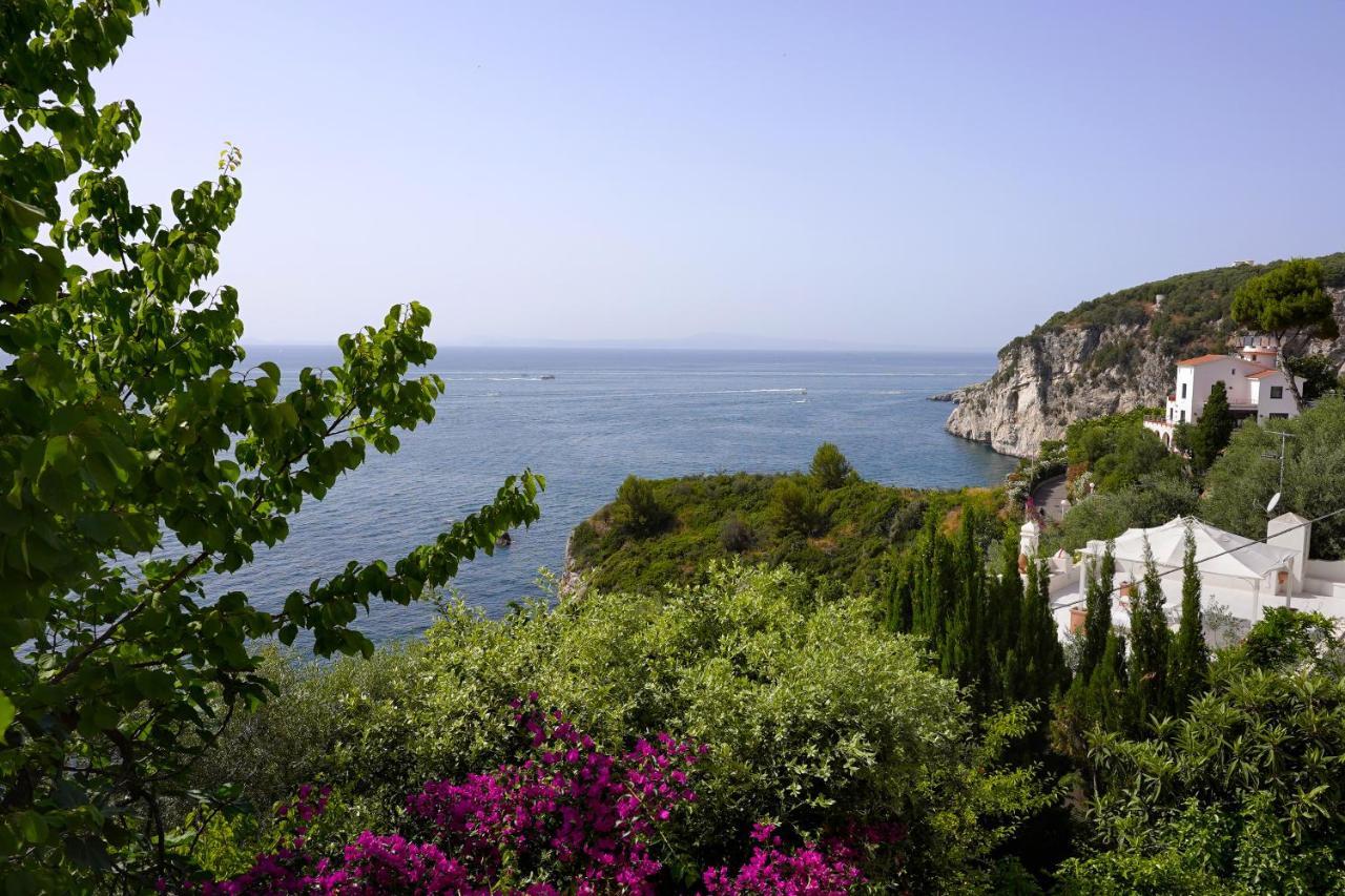 La Rosa Dei Venti Villa Massa Lubrense Exteriör bild